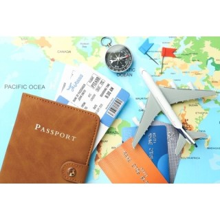 Plata para llevar al viaje